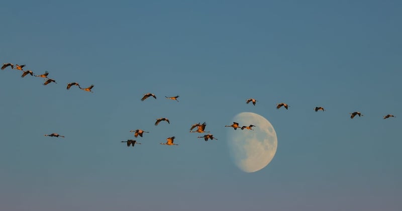 Migration de site sans perdre son référencement : le guide
